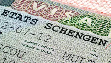 Bakan Bolat'tan Schengen Vizesi Müjdesi: 5 Yıla Kadar Vize!