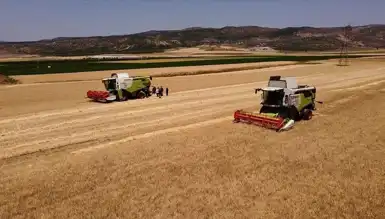 Devlet, Yem Fiyatlarını Düşürmek İçin Tahıl Satışı Başlatıyor