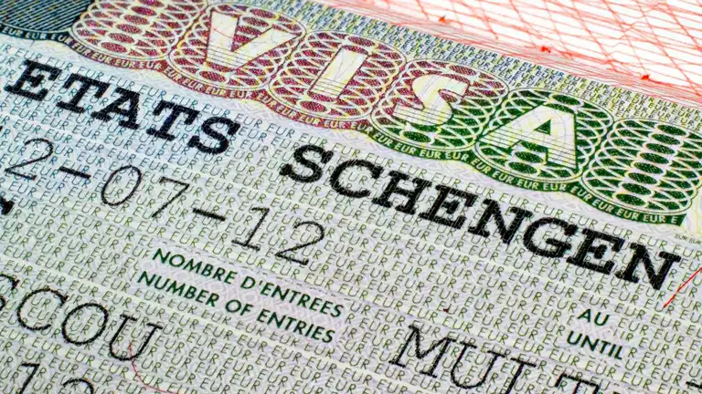 Bakan Bolat'tan Schengen Vizesi Müjdesi: 5 Yıla Kadar Vize!