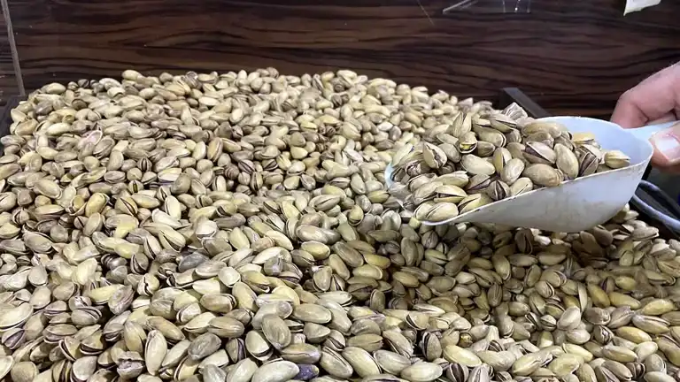 Türkiye'de Fıstık Üretimi Rekor Kırdı!