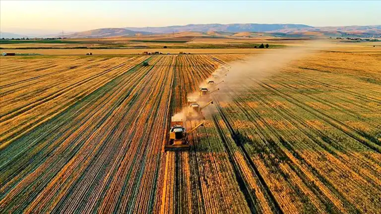 Çiftçilere 772 Milyon TL Destek Ödemesi